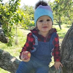 Meet your Posher, Anne